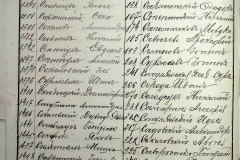 241