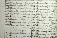 241