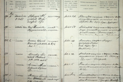 241
