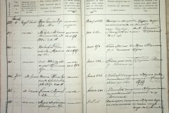 241