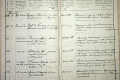 241