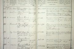 241