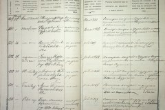 241