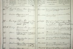 241