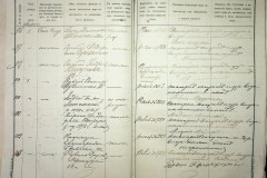 241