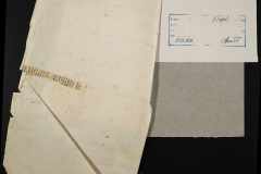 0332-001-443-005
