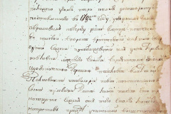 241