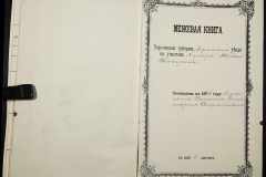 0335-001-194-010