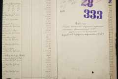 0335-001-229-002