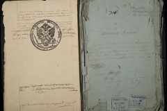 0335-001-295-005