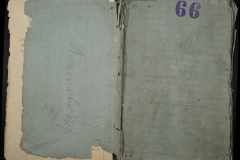 0335-001-295-006