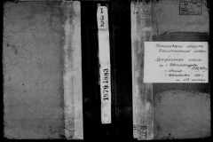 0484-001-0098-002