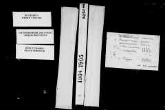 0484-001-0192-001