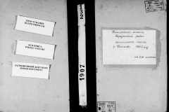 0484-001-0196-001