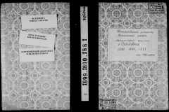 0484-001-0241-001