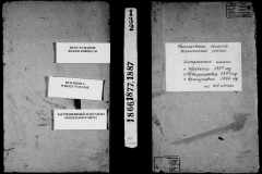 0484-001-0365-001
