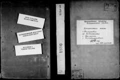 0484-001-0399-001
