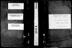 0484-001-0786-001