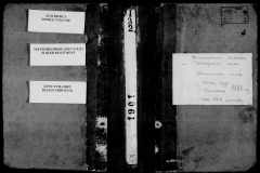 0484-001-0787-001