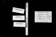 0484-001-0796-001