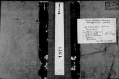 0484-001-0799-001