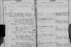 0484-001-0803-065