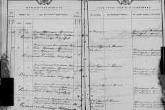 0484-001-0803-079