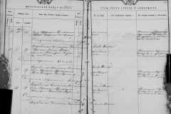 0484-001-0803-082