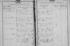0484-001-0803-097
