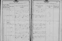 0484-001-0803-099