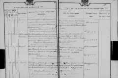 0484-001-0803-161