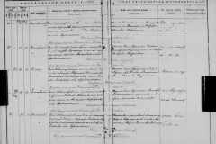 0484-001-0803-176
