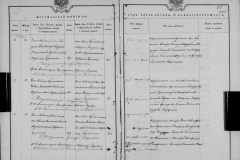 0484-001-0803-181