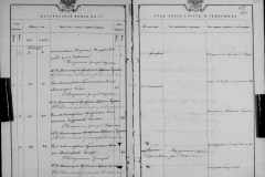 0484-001-0803-195