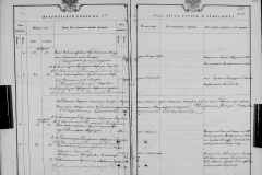 0484-001-0803-197