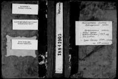 0484-001-0809-001
