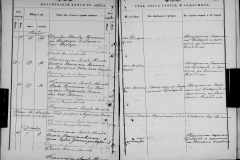 0484-001-0810-099