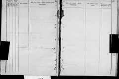 0484-001-0810-198