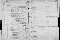 0484-001-0810-260