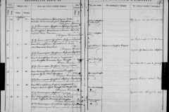 0484-001-0810-266