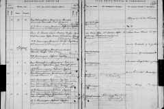 0484-001-0810-273