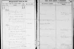 0484-001-0869-082