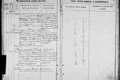0484-001-0871-007
