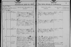 0484-001-1025-104