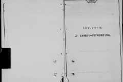 0484-001-1025-199
