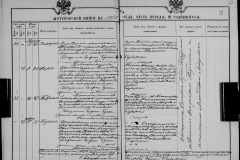 0484-001-1026-081