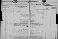 0484-001-1028-110
