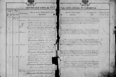 0484-001-1029-003