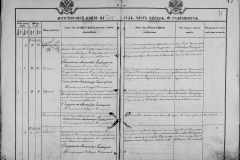 0484-001-1029-043