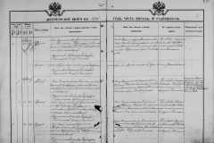 0484-001-1029-080